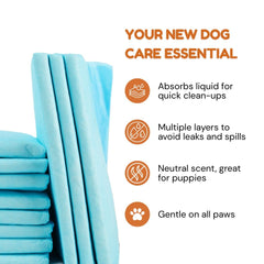 Pawpha UltraCare leak-barrier prevents overflow, protecting floors.