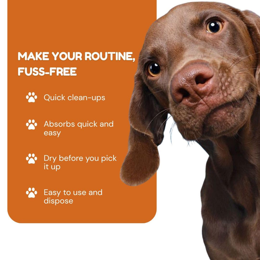 Pawpha UltraCare multi-use pads support training, travel, and indoors.