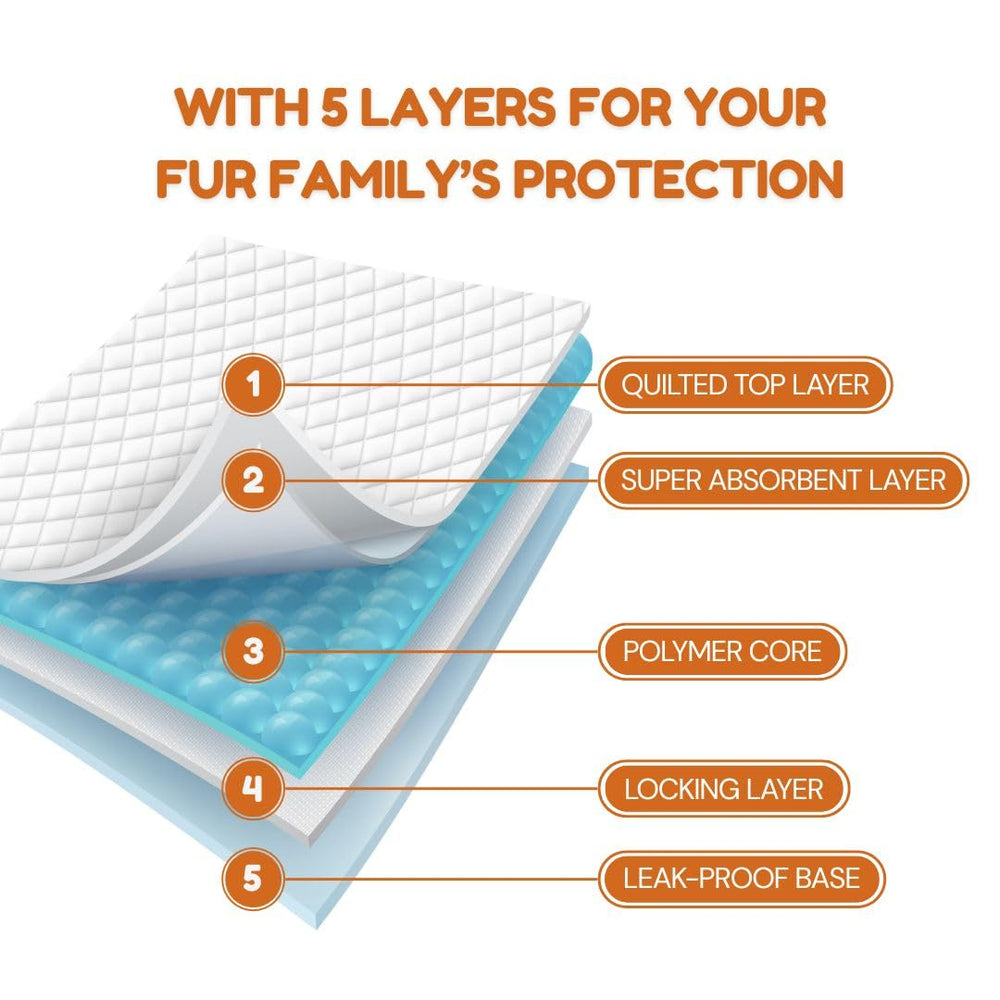 Pawpha UltraCare odor-control maintains a fresher home.