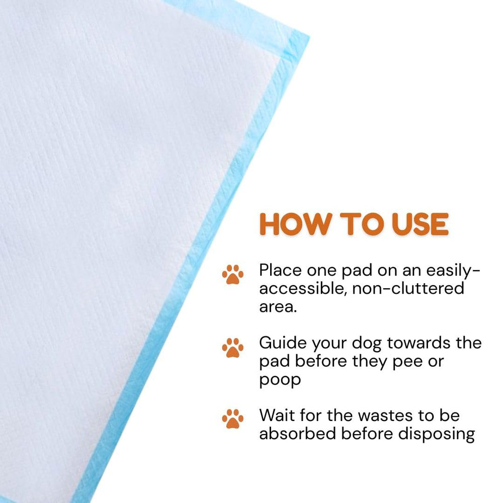 Pawpha UltraCare quick-dry-surface dries paws and reduces mess.