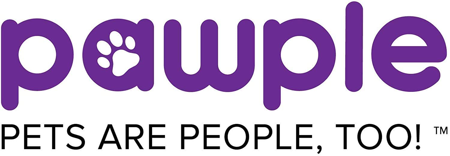 Pawple Dog Car Barrier keeps pets safely in the cargo area during drives.