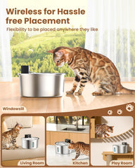 PawPoll Wireless Cat Water Fountain 3.2L capacity supports multi-cat households with fewer refills.