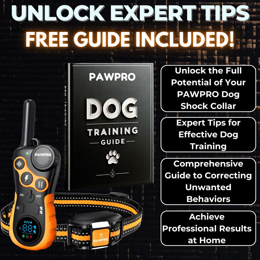 PAWPRO 124 training levels allow tailoring feedback to each dog's temperament.