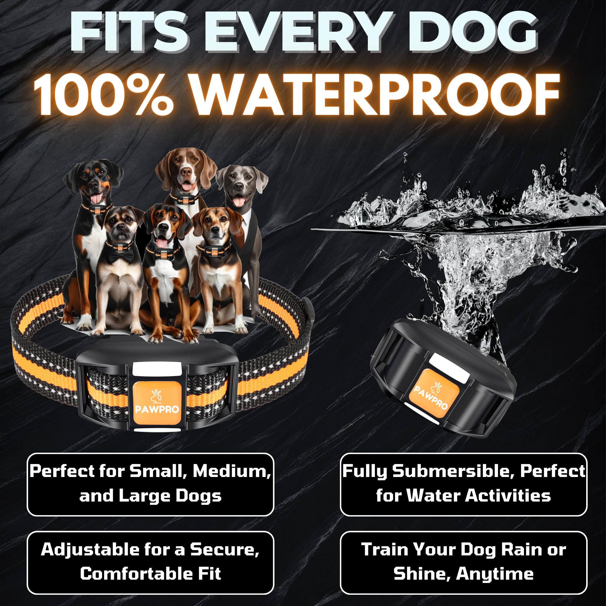 PAWPRO IPX7 waterproof and rechargeable collar withstands rain, mud, and outdoor sessions.