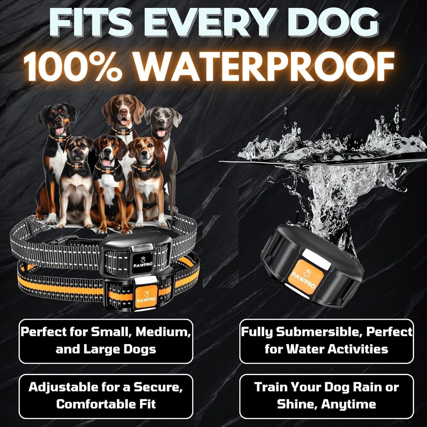 PAWPRO night-light mode for visibility during dawn or dusk sessions