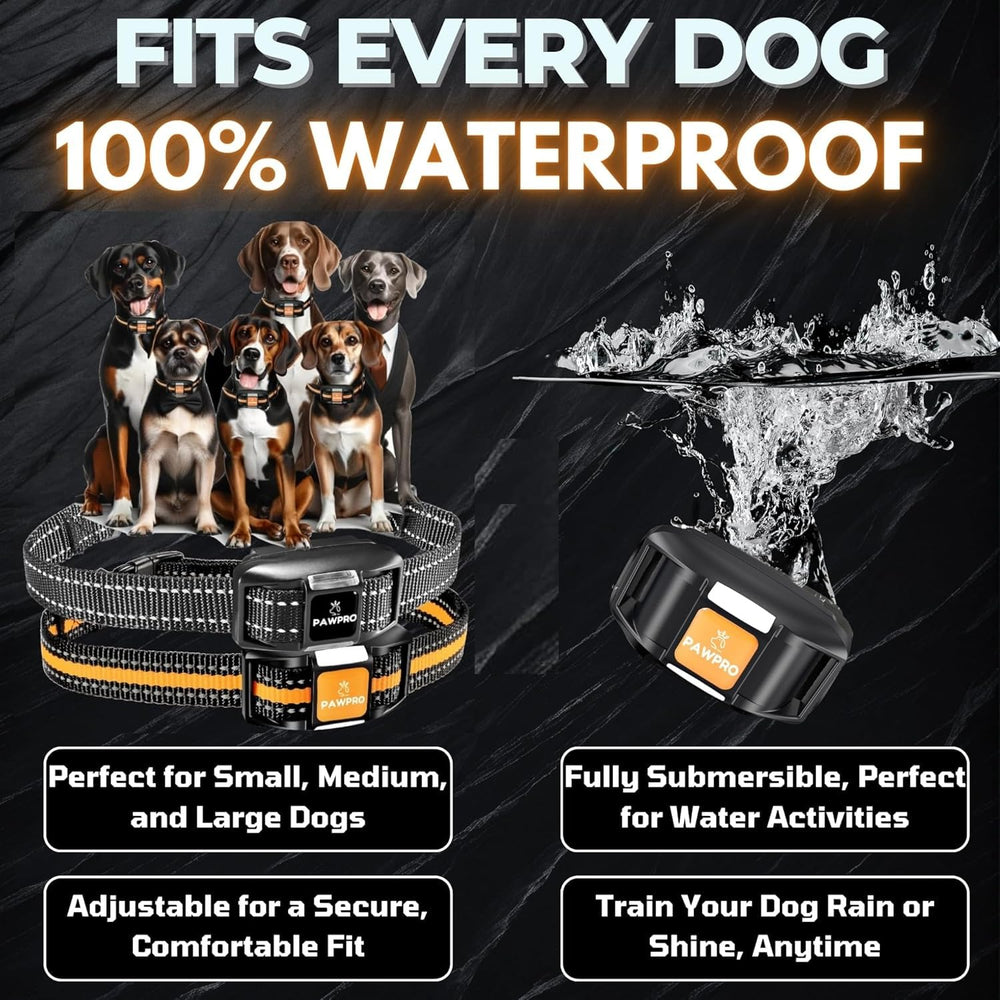 PAWPRO night-light mode for visibility during dawn or dusk sessions