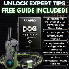 PAWPRO training guide included supports progress with simple actionable steps.
