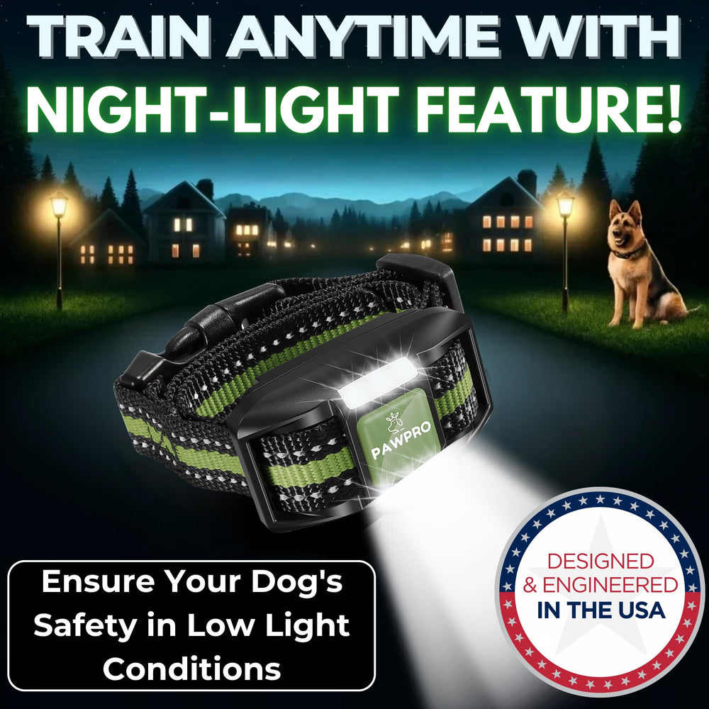 PAWPRO waterproof dog collar withstands rain and mud during outdoor sessions.