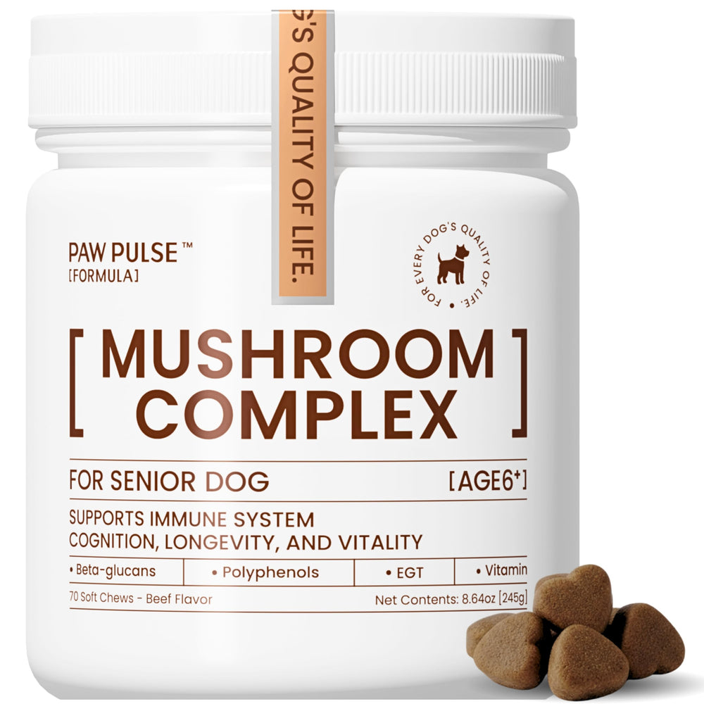 Pawpulse Formula bottle label highlights immune support for aging dogs.