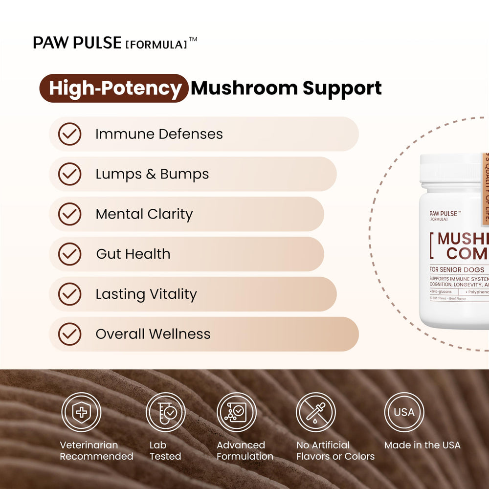 Pawpulse Formula immune-blend-mushrooms packaging emphasizes seven functional mushrooms for immune health.