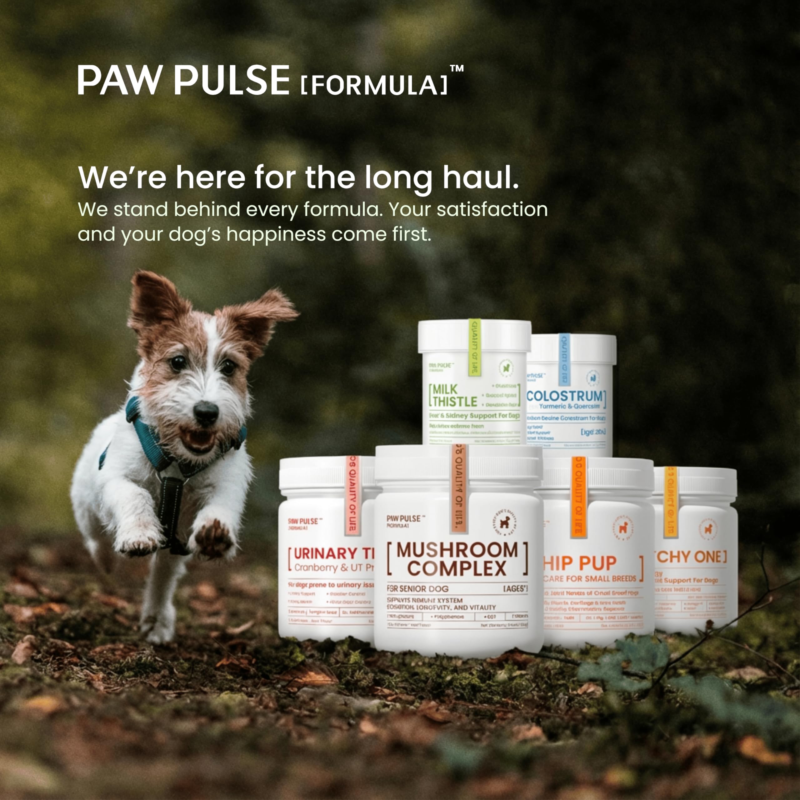 Pawpulse Formula lipoma-support visual illustrates lipoma-lumps context.