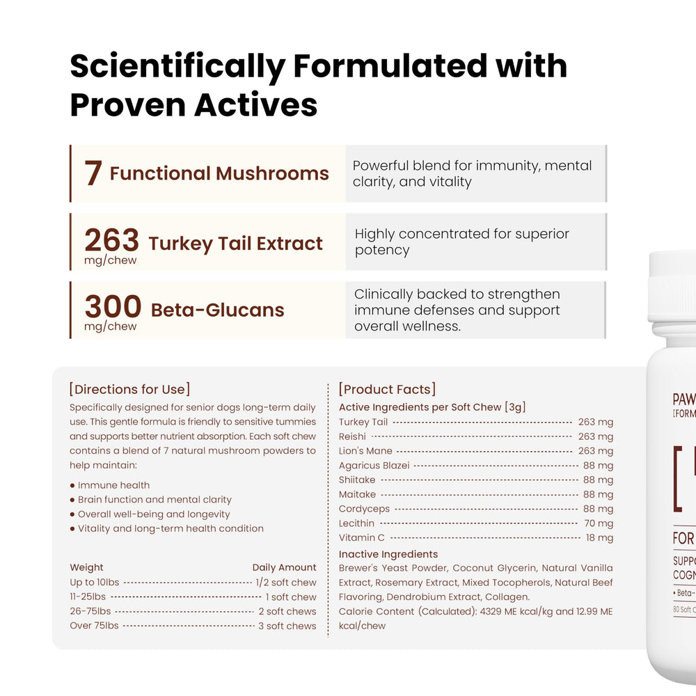 Pawpulse Formula reishi-maitake-shiitake mix close-up reveals natural immune ingredients.