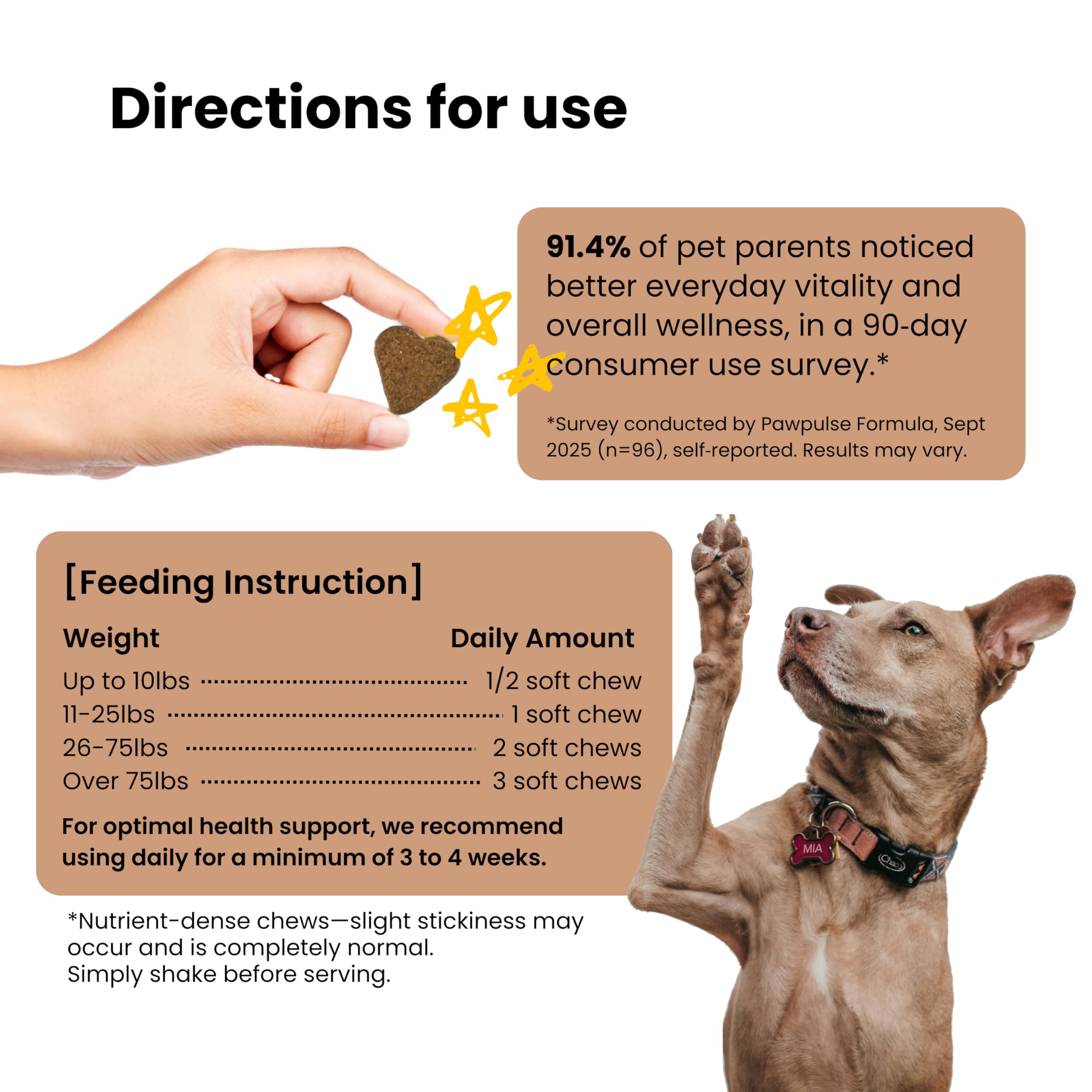Pawpulse Formula senior-dog-energy close-up demonstrates daily wellness potential.