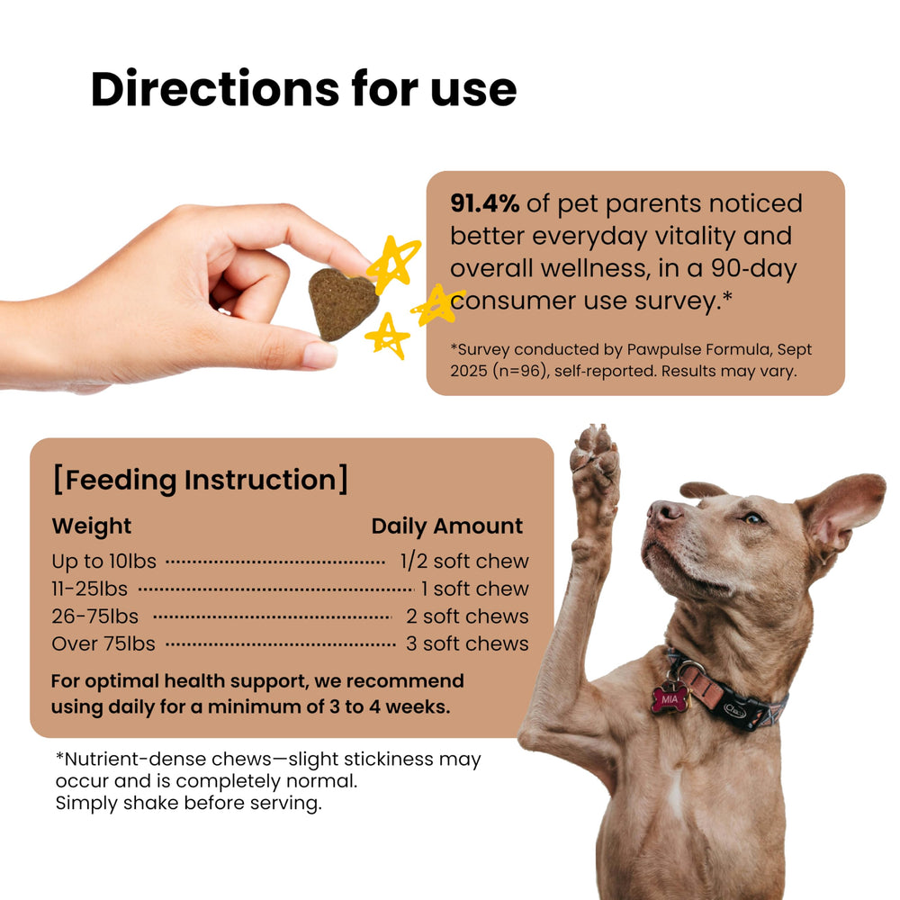 Pawpulse Formula senior-dog-energy close-up demonstrates daily wellness potential.