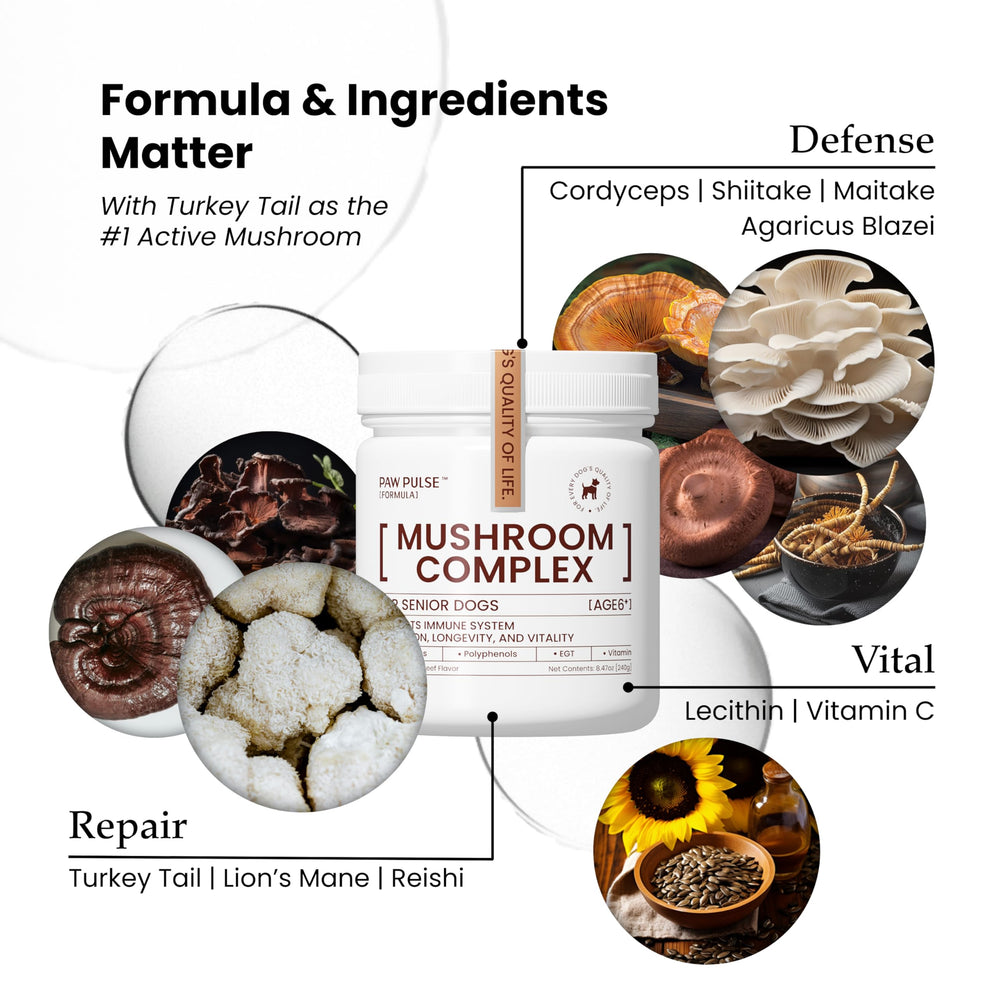 Pawpulse Formula turkey-tail-mushrooms close-up highlights antioxidant-rich immune support.