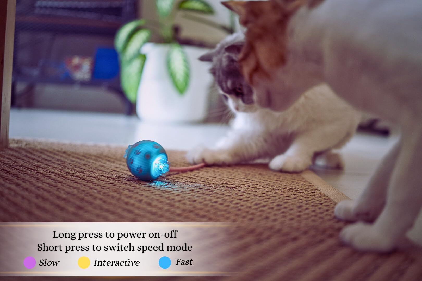 PAWQUÉR interactive toy auto-shutoff feature conserves battery after play.