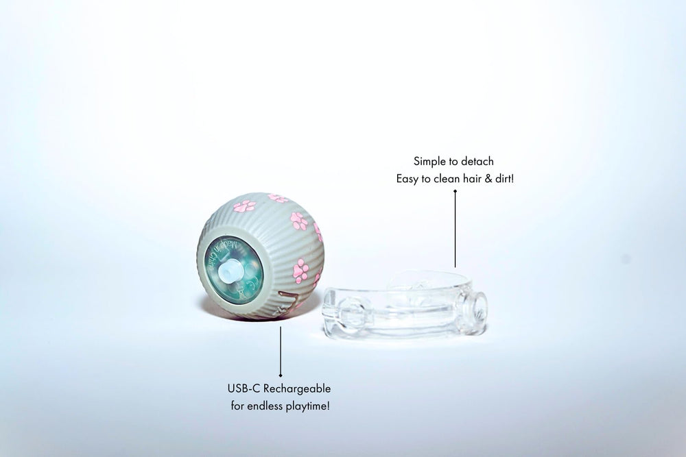 PAWQUÉR charging LED indicator helps track readiness for the next play.