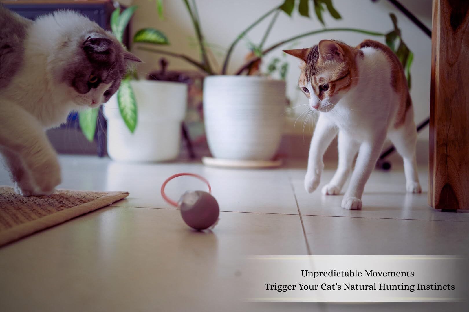 PAWQUÉR USB-rechargeable cat toy enables mess-free charging.