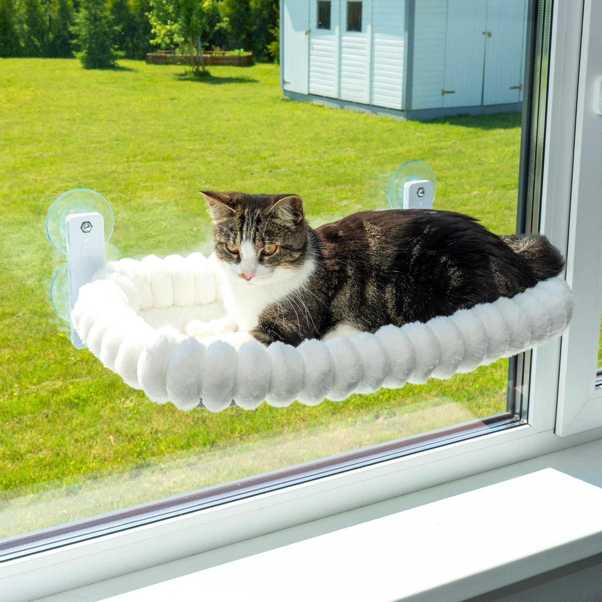 PAWRUSH cat-window-perch cushion close-up shows plush, machine-washable comfort.