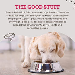 Paws & Pals dog on a walk illustrating potential mobility with chews.