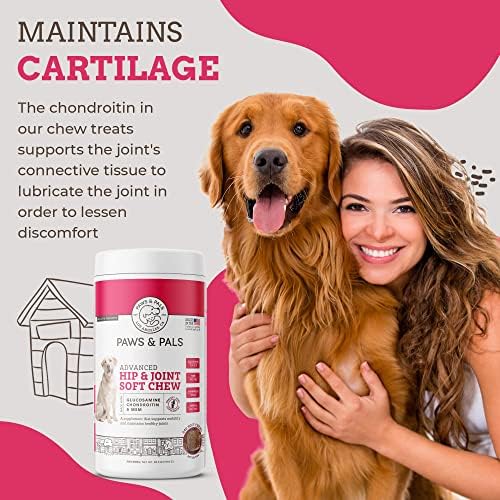Paws & Pals label highlights glucosamine, chondroitin, and MSM for joint care.