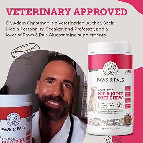 Paws & Pals serving scoop beside the container for easy dispensing.