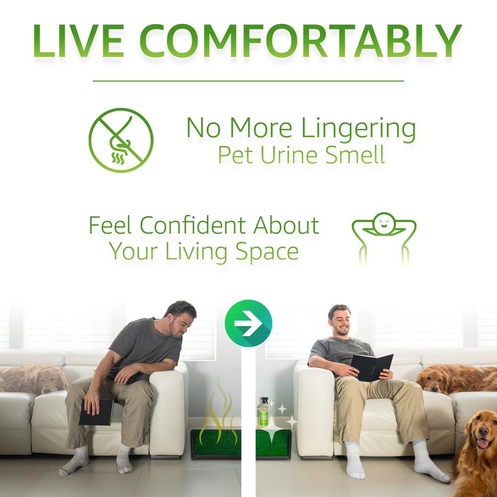 Paws and Play pet-waste-cleaner-multi-surface shows versatile cleaning on patios and kennels.