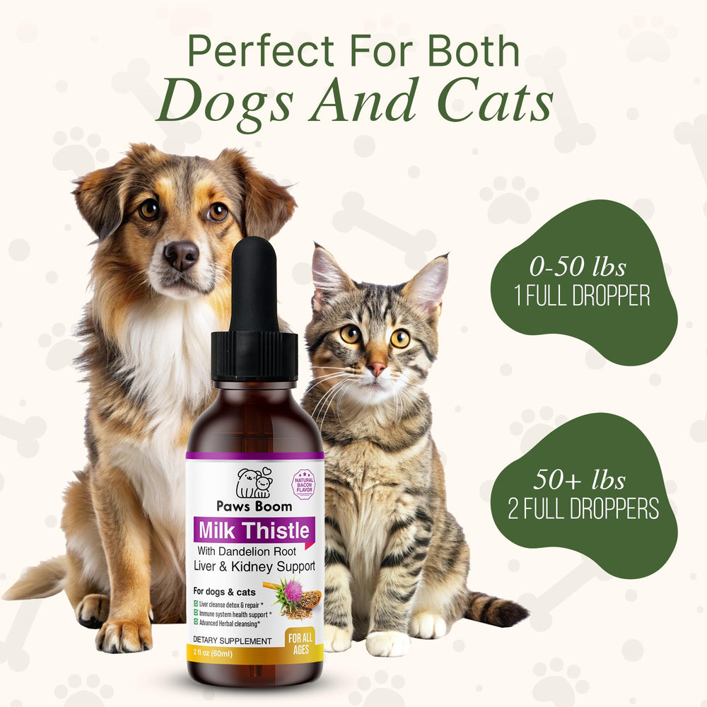 Paws Boom liver detox bottle emphasizing natural detox and liver health