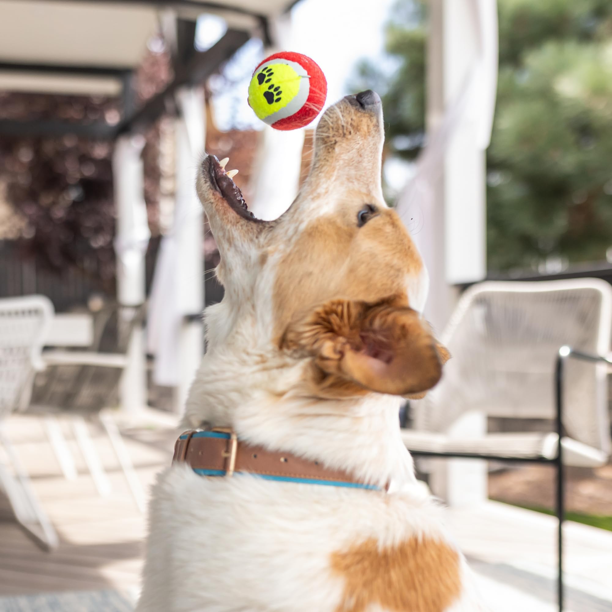 Paws For Reaction handwoven basket doubles as attractive storage