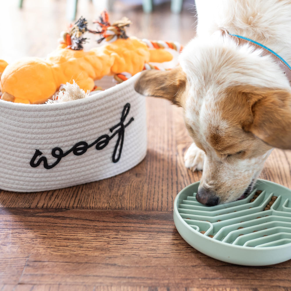 Paws For Reaction homemade treat recipes and cookie mold inspiration