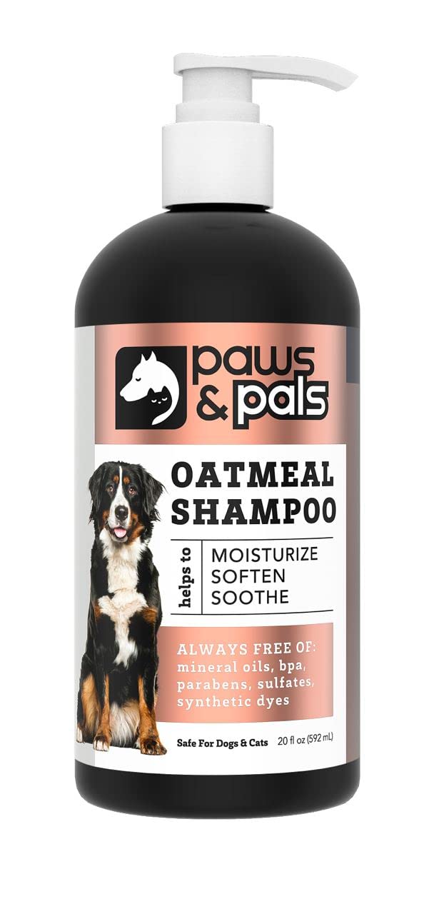 Paws & Pals 6in1 shampoo bottle pump shows easy all-in-one grooming for dogs and cats.