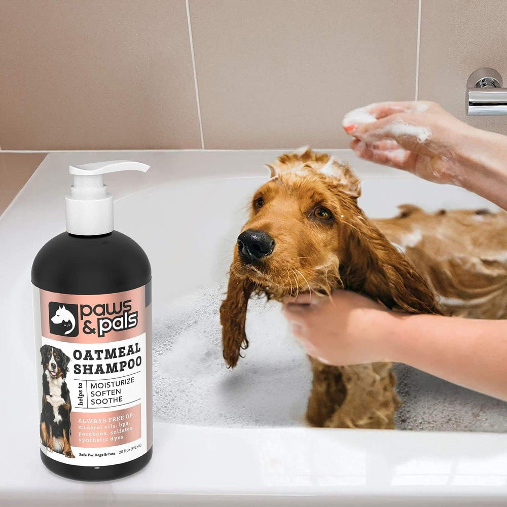 Paws & Pals shampoo lather application demonstrates rich foam for easy cleansing.