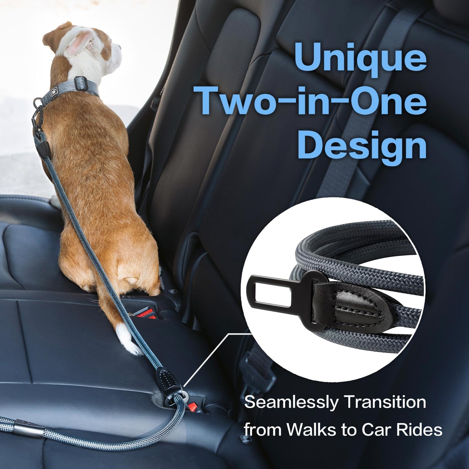 PAWS PASSION 360 swivel clasp prevents tangling during walks