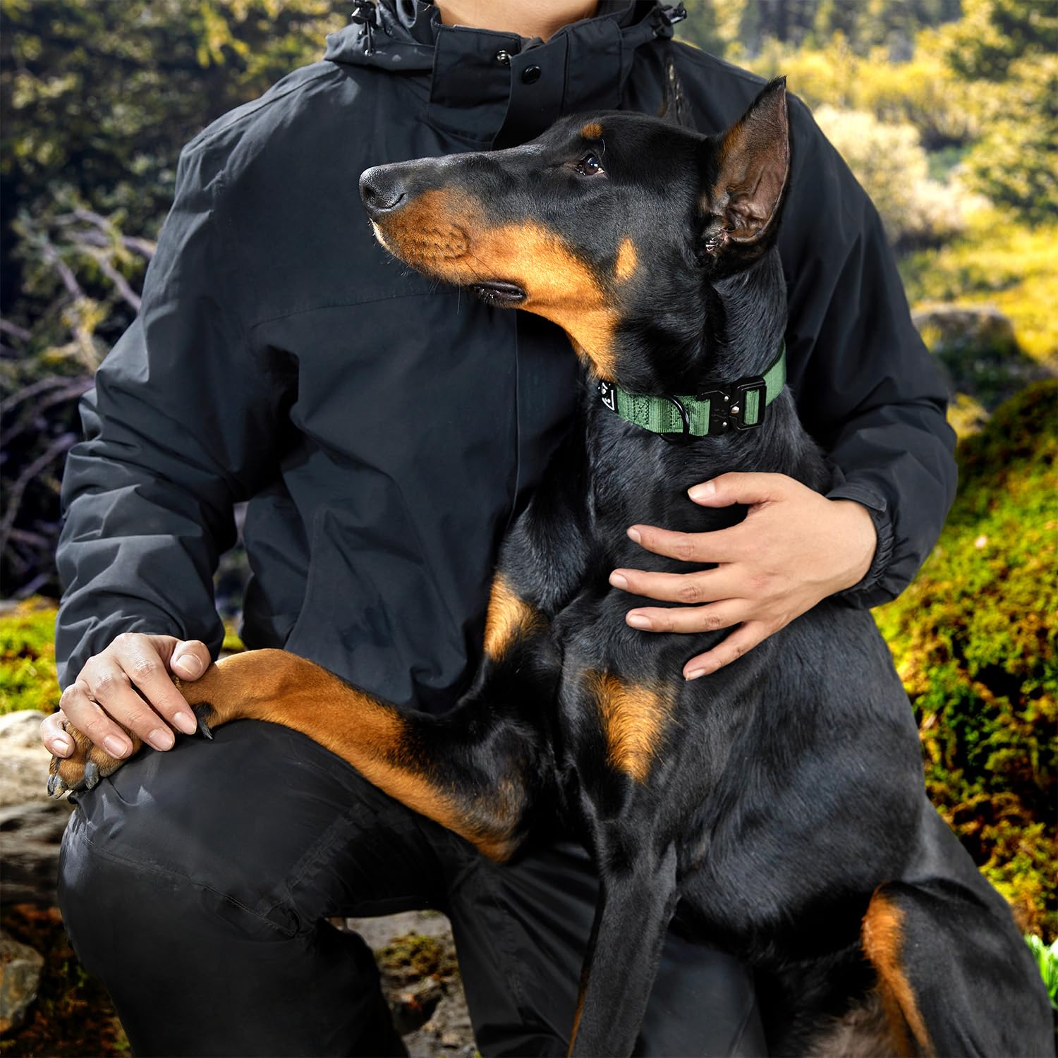 PAWS PASSION AirTag attachment view for locating wandering dogs