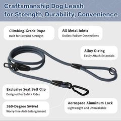 PAWS PASSION aviation aluminum carabiner endures energetic dogs on hikes