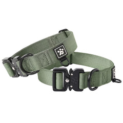 PAWS PASSION Evergreen large dog collar front view for daily rugged adventures