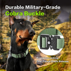 PAWS PASSION heavy-duty collar with metal hardware close-up for chewers