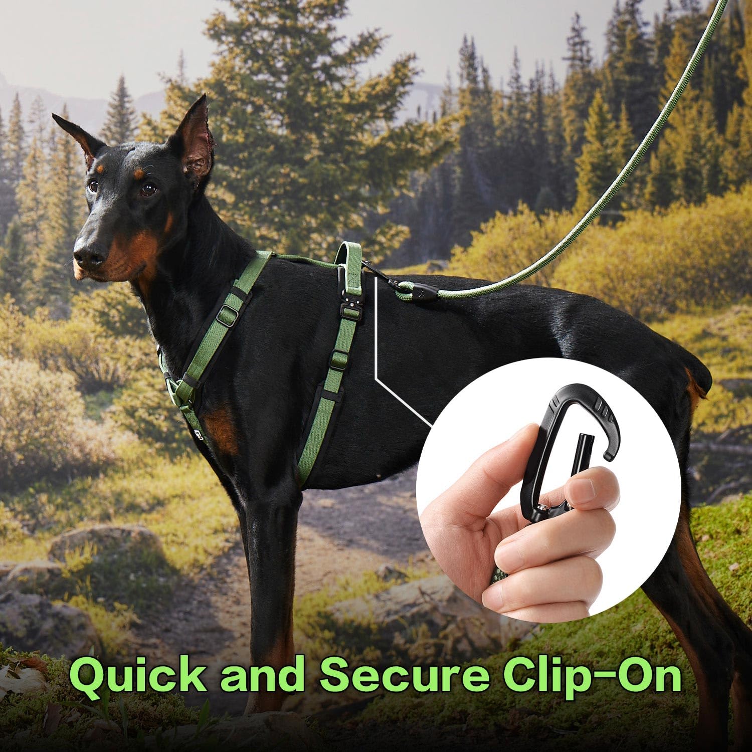PAWS PASSION aerospace aluminum carabiner provides strong hardware for energetic dogs