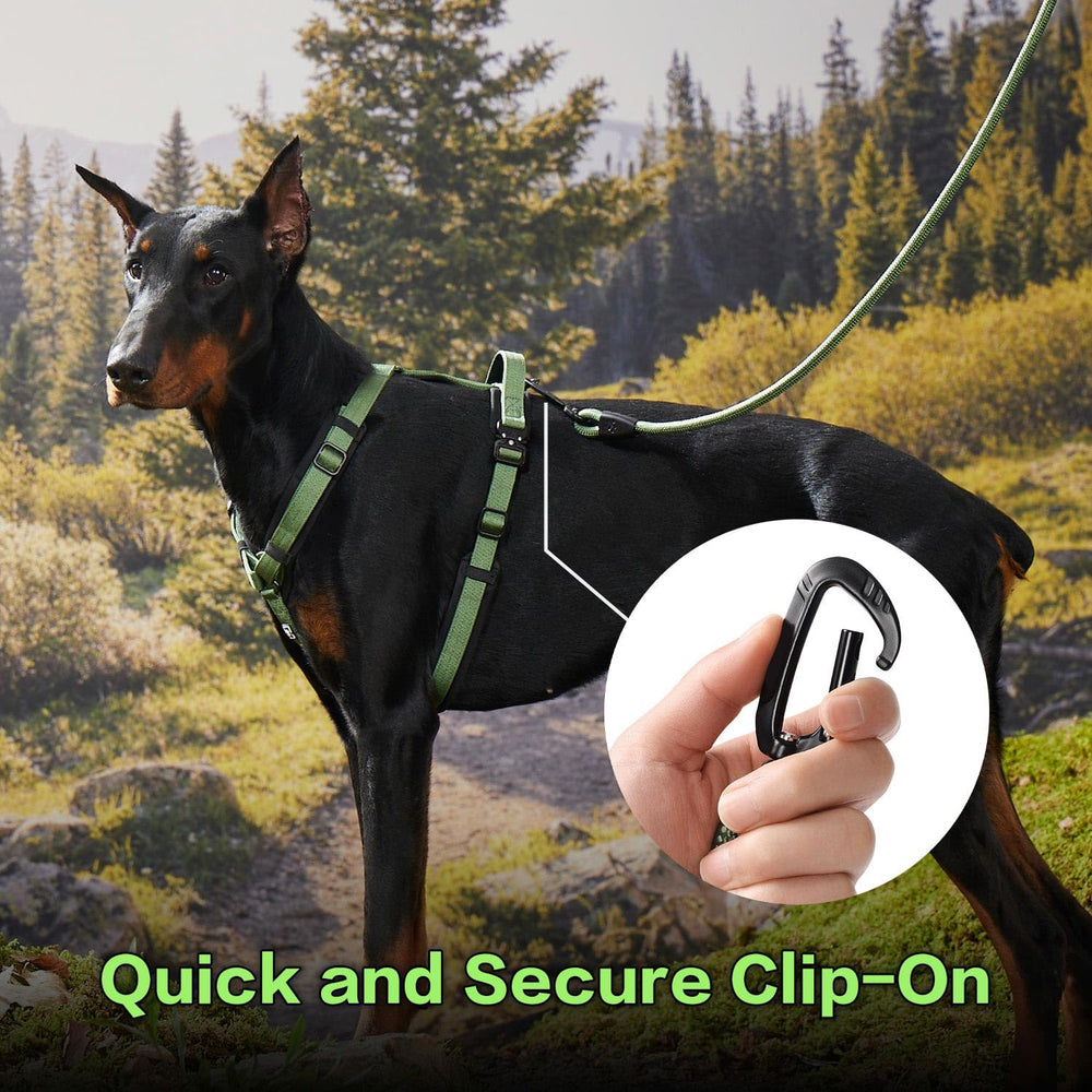 PAWS PASSION aerospace aluminum carabiner provides strong hardware for energetic dogs
