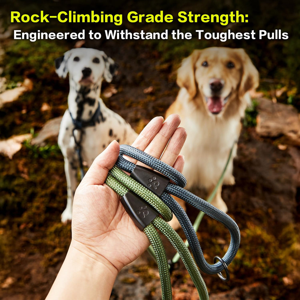 PAWS PASSION leash with seat belt buckle keeps dogs secure in cars during trips