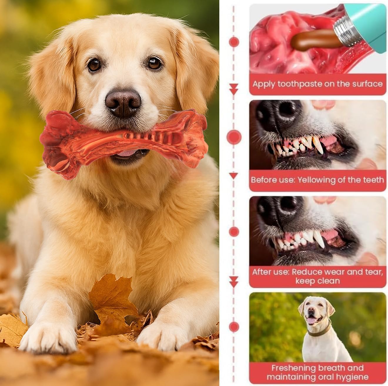 Paws Power natural rubber toy withstands tough chewers for extended sessions.