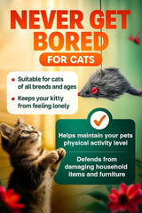 Paws Power retractable wand extends to 60 inches enabling dynamic, engaging chase sessions.