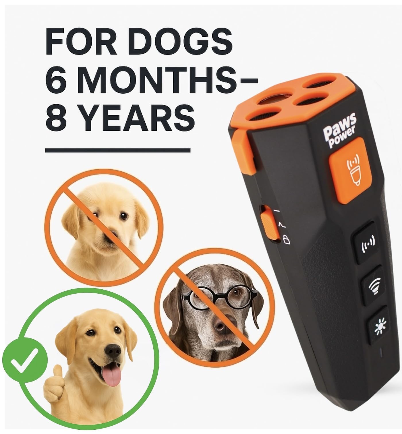 Paws Power in indoor-outdoor use context for flexible training.