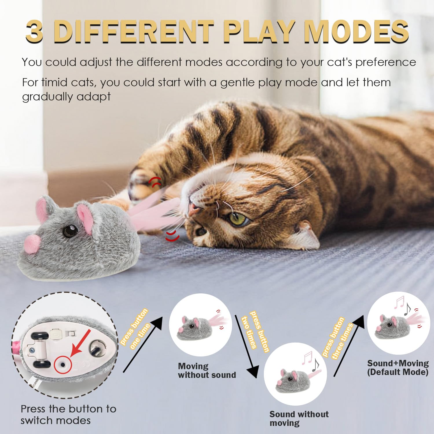 Pawsayes indoor play area—compact setup for kitten-friendly training and fun.