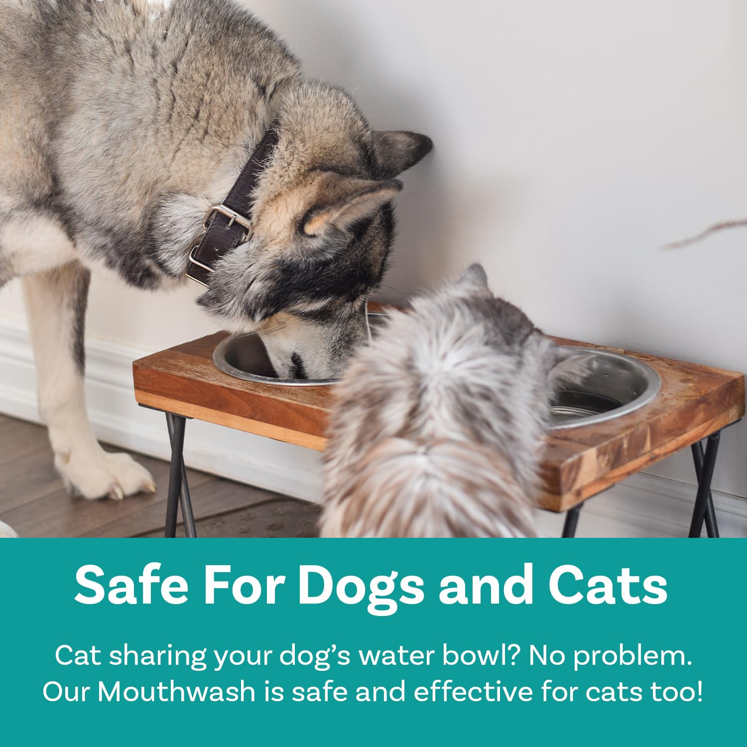 PawSafe dog mouthwash fresh breath visual hints at longer-lasting mouth cleanliness.