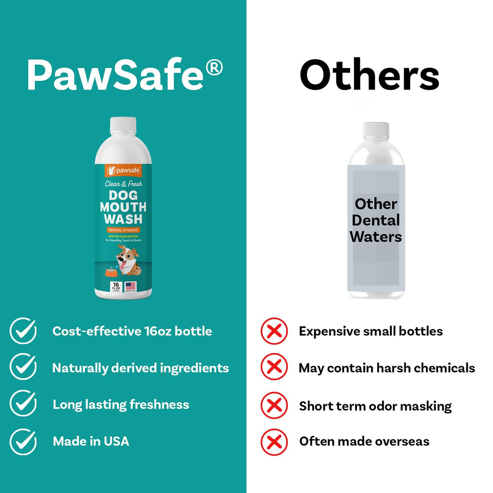 PawSafe dog mouthwash gums-care scene highlights healthier gums with gentle formula.