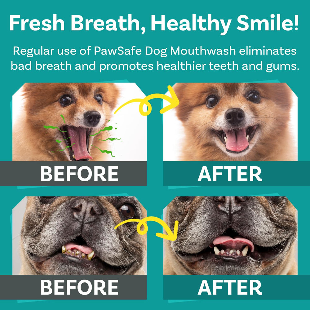 PawSafe dog mouthwash teeth-cleaning visualization suggests plaque-control in daily routine.