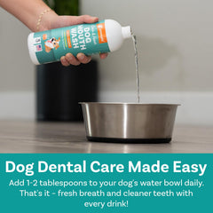 PawSafe dog mouthwash water bowl addition demonstrates easy daily use.