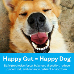 PawSafe honey-chicken flavored chews appeal and immune-support potential
