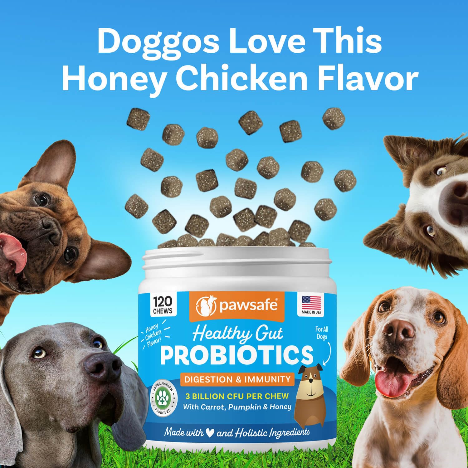 PawSafe immune-support emphasis on overall wellness